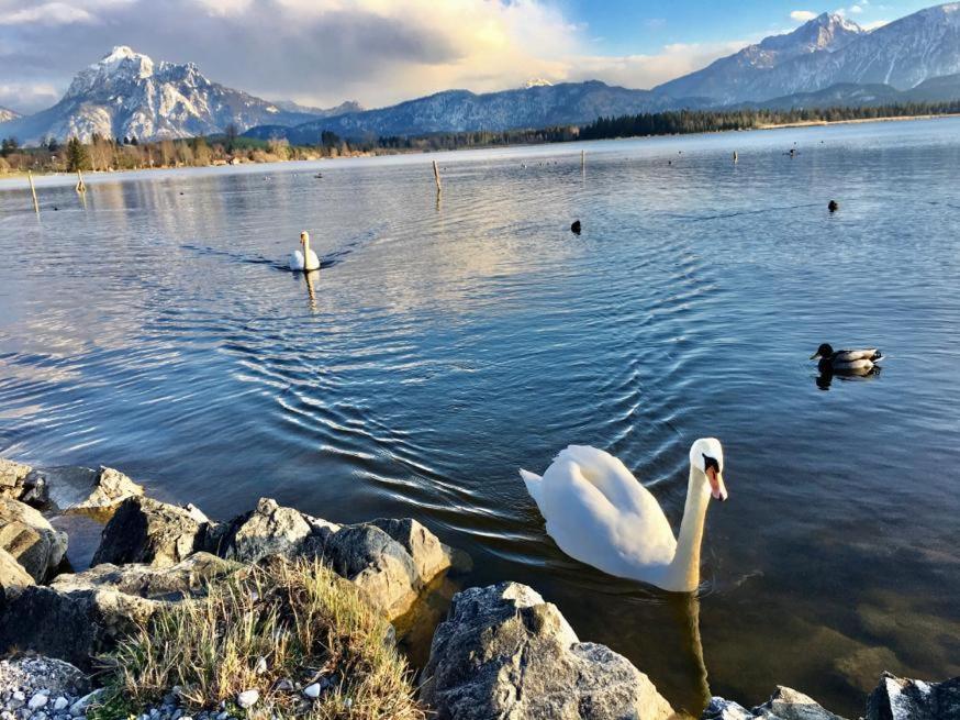 Hotel Fischer Am See Фюссен Экстерьер фото